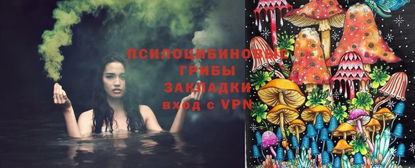 кокс Ростов