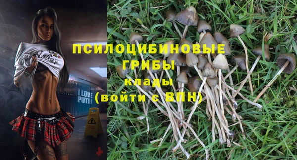 кокс Ростов