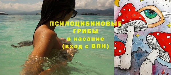 бошки Кинешма