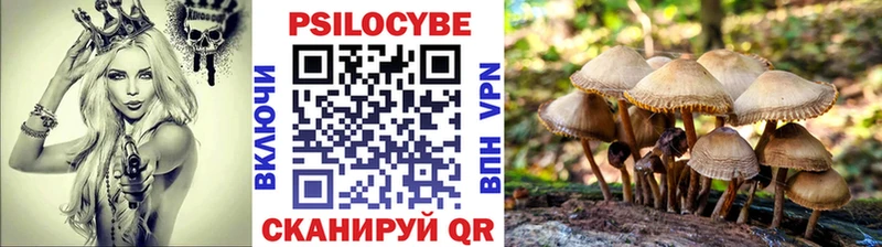 купить наркоту Новосокольники Псилоцибиновые грибы ЛСД